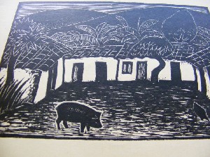 biblioteca 274 copy.jpg